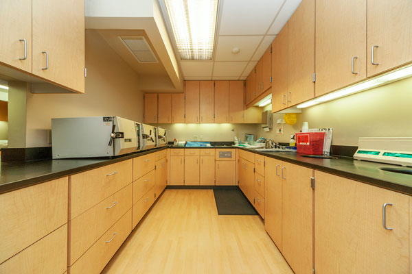 Oral Surgeons Kirkland Office Team